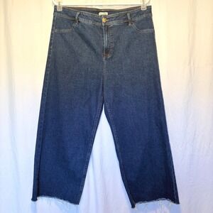 Dex Jeans Wide Leg Crop Dark Wash Blue Raw Hem Stretch Denim Plus Size 18